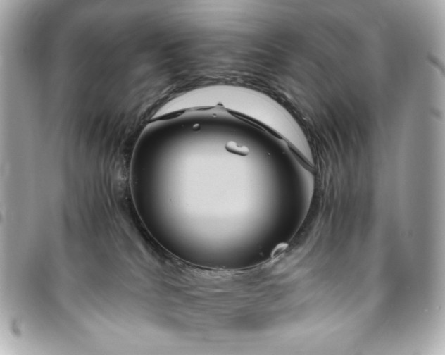 X0000096480040200802071930