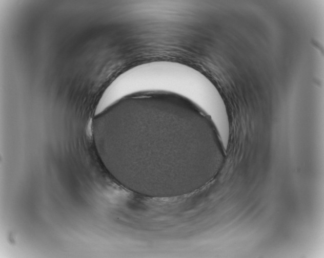 X0000096480041200802071930