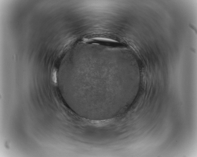 X0000096480042200802071930