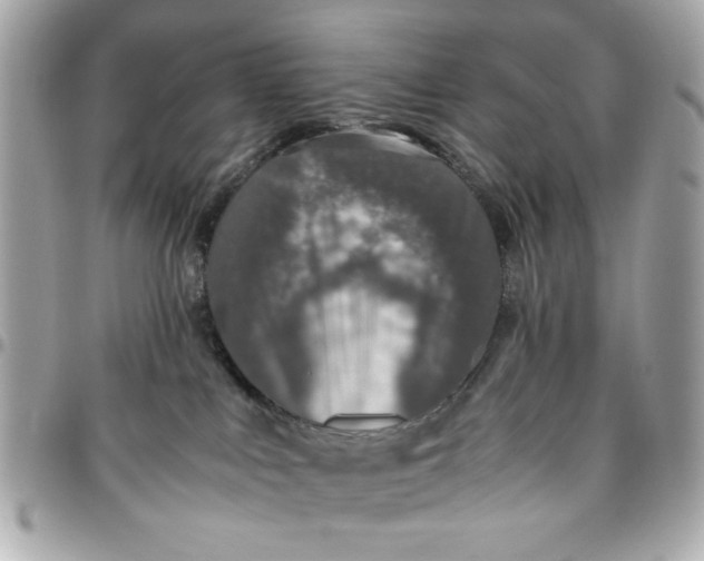 X0000096480043200802071930