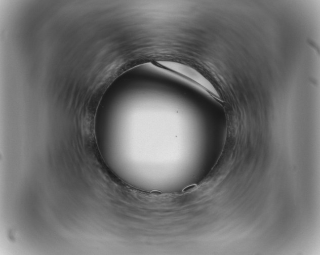 X0000096480044200802071930