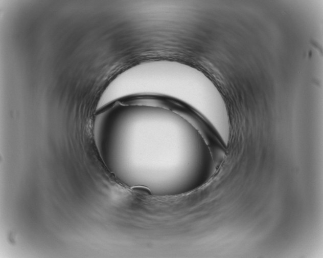 X0000096480045200802071930