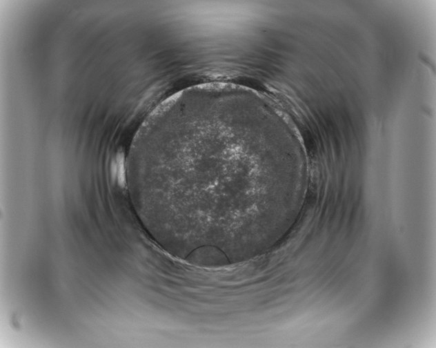 X0000096480046200802071930