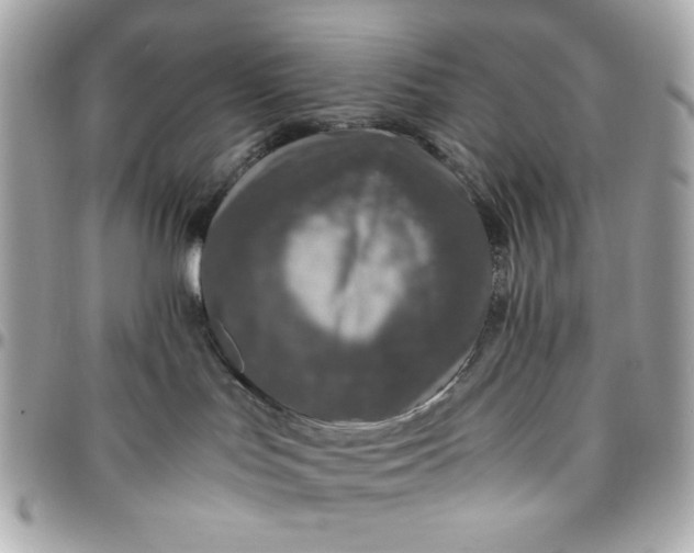 X0000096480047200802071930