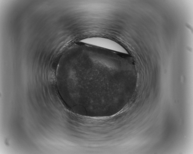 X0000096480048200802071930