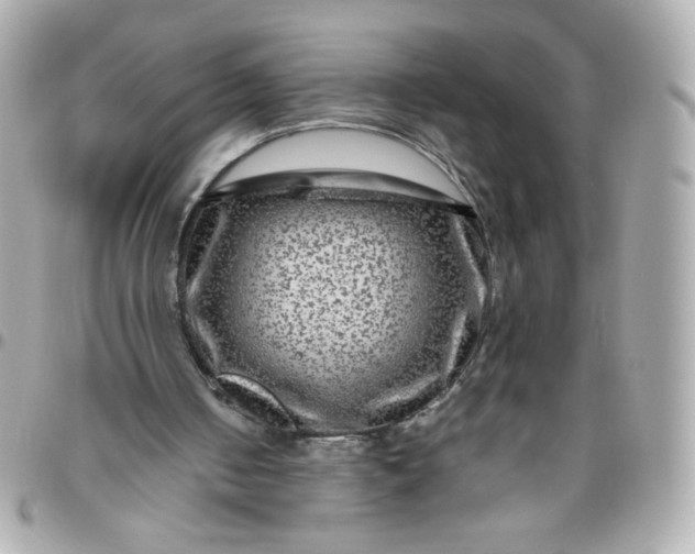 X0000096480050200802071929