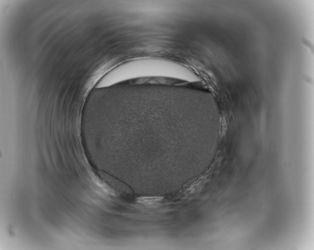 X0000096480051200802071929