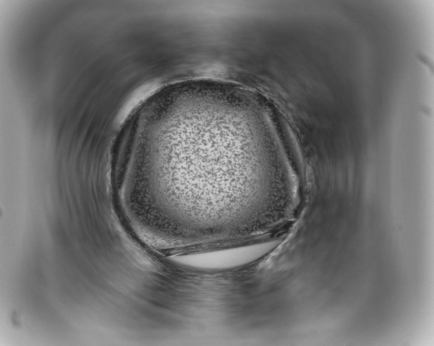 X0000096480054200802071929