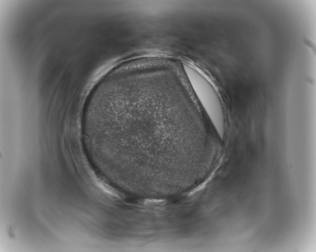 X0000096480055200802071929