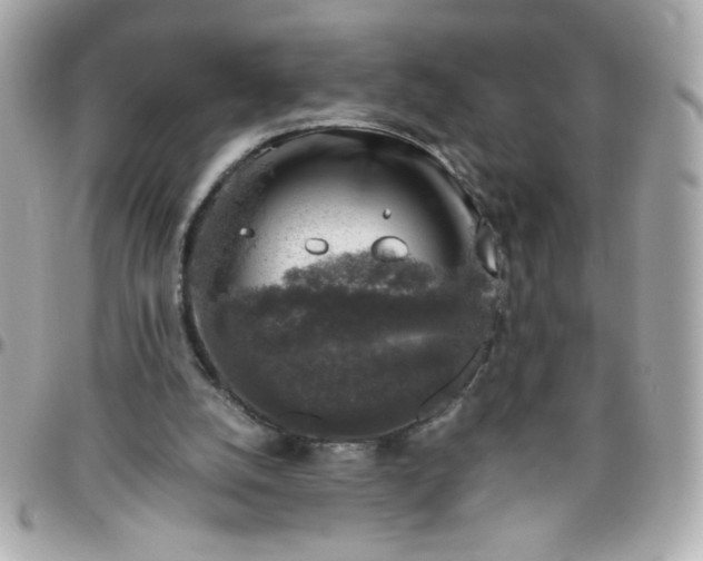 X0000096480056200802071929