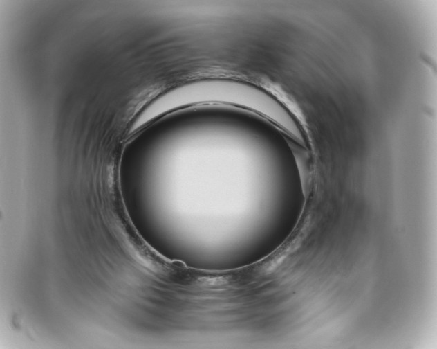 X0000096480057200802071929