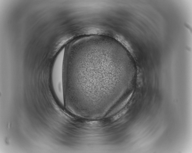 X0000096480058200802071929