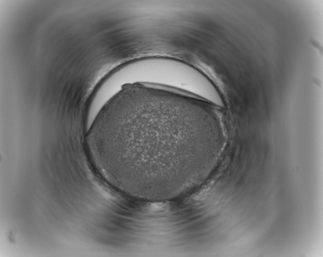 X0000096480060200802071929