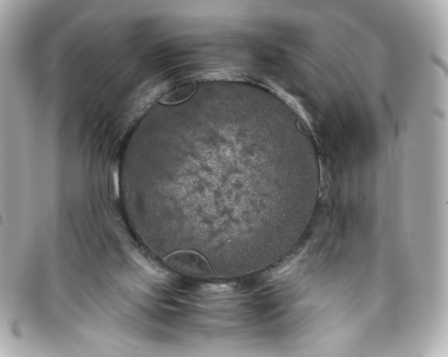 X0000096480061200802071929