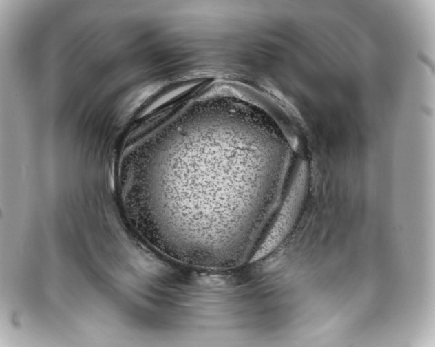 X0000096480062200802071929