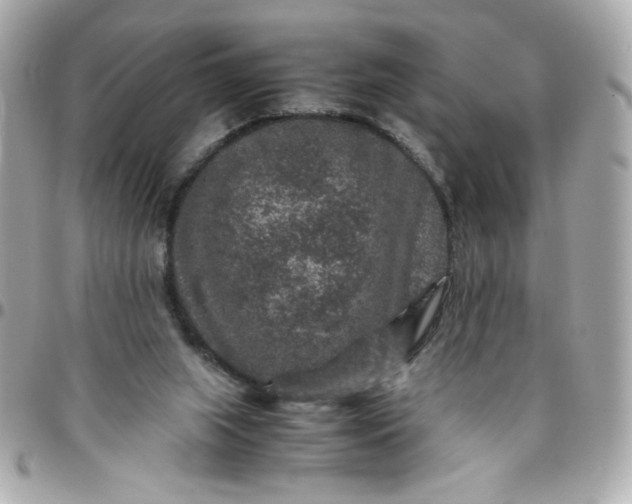 X0000096480063200802071929