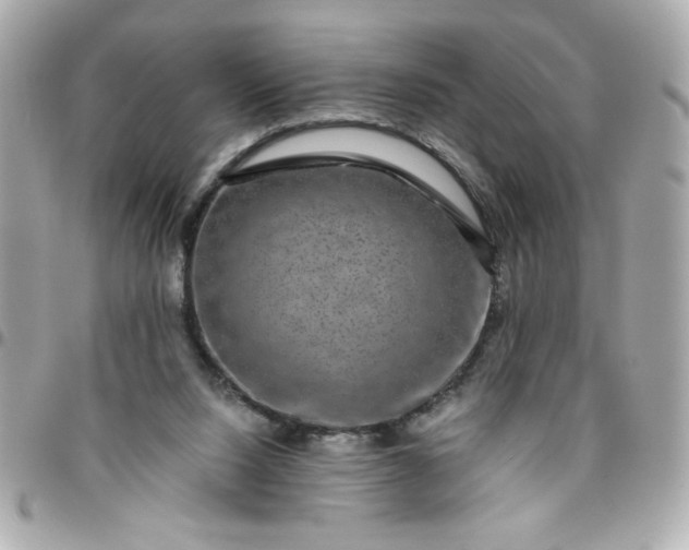 X0000096480064200802071929