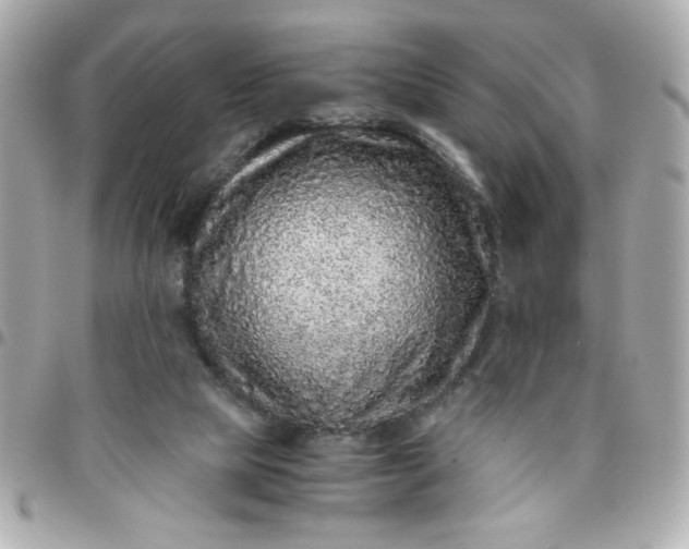 X0000096480065200802071929