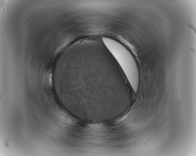 X0000096480067200802071929