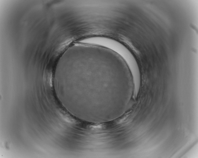 X0000096480068200802071929