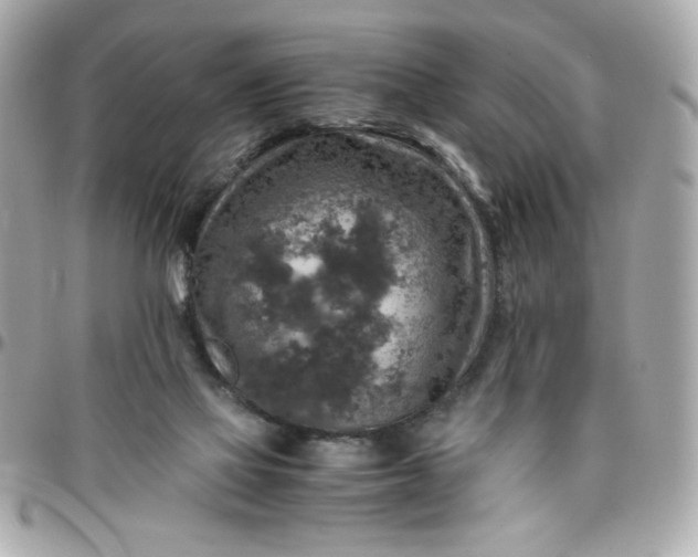 X0000096480069200802071929