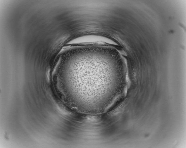 X0000096480070200802071929