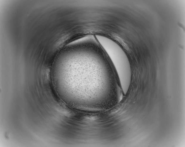 X0000096480071200802071929