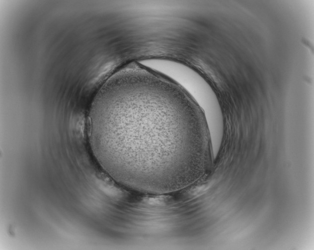 X0000096480072200802071929