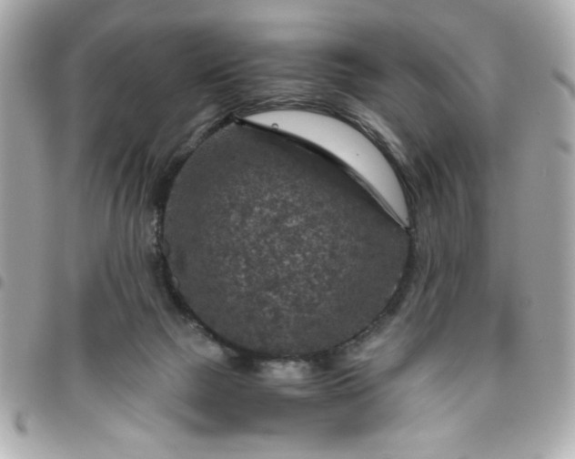 X0000096480073200802071929