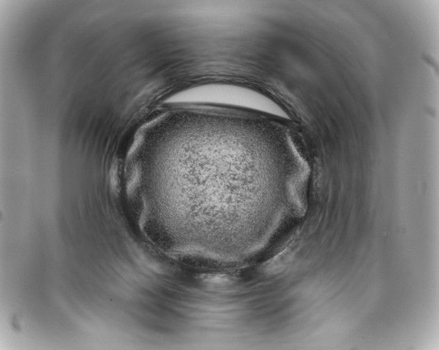 X0000096480074200802071929