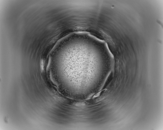 X0000096480075200802071929