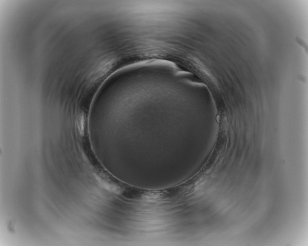 X0000096480076200802071929