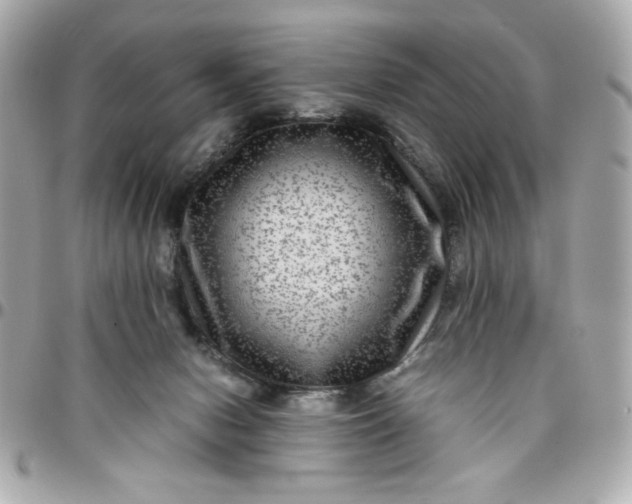 X0000096480078200802071929