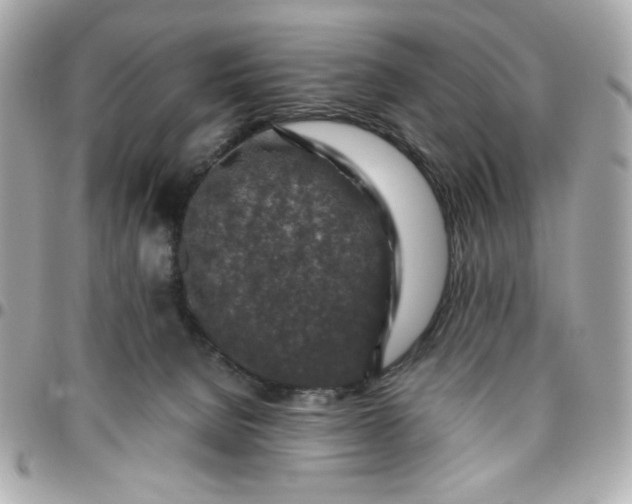 X0000096480080200802071930