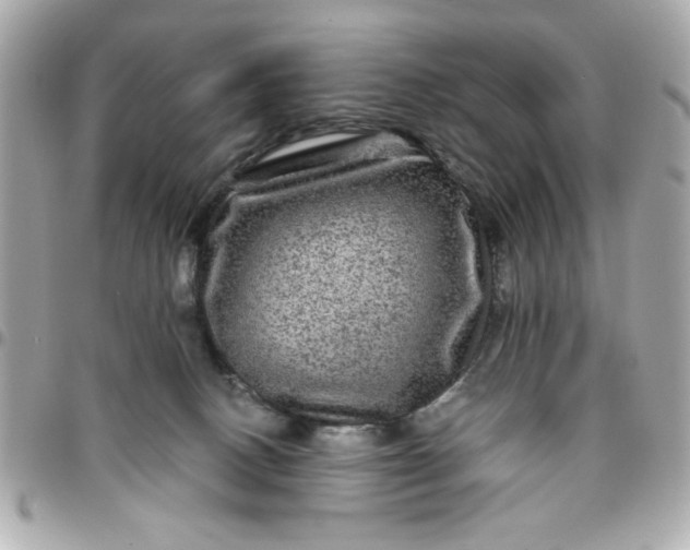 X0000096480082200802071930