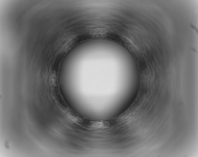 X0000096480083200802071930