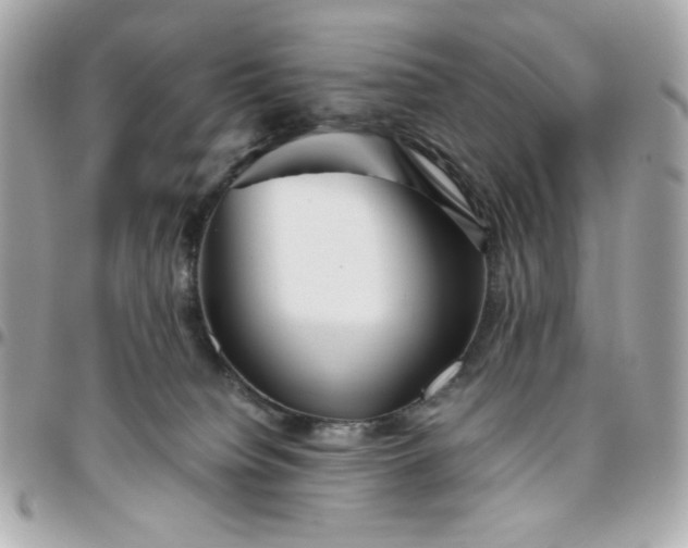 X0000096480084200802071930