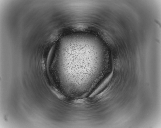 X0000096480086200802071930