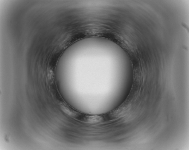 X0000096480087200802071930