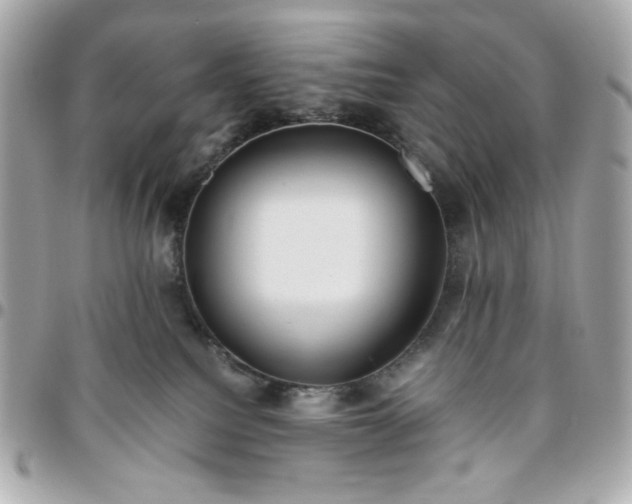 X0000096480088200802071930