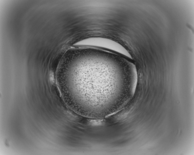 X0000096480089200802071930