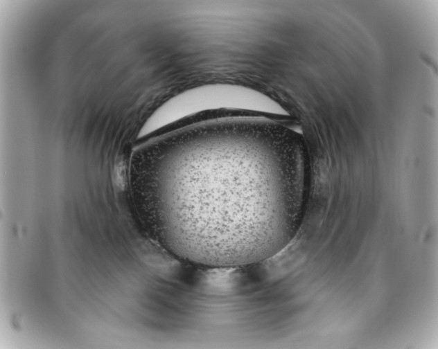 X0000096480090200802071930