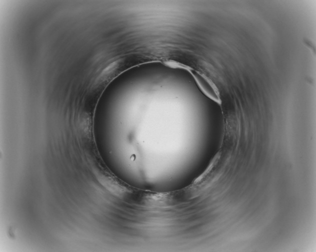 X0000096480092200802071930