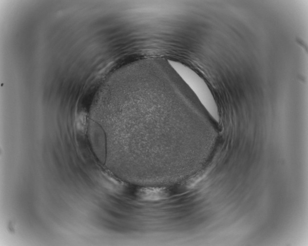 X0000096480093200802071930