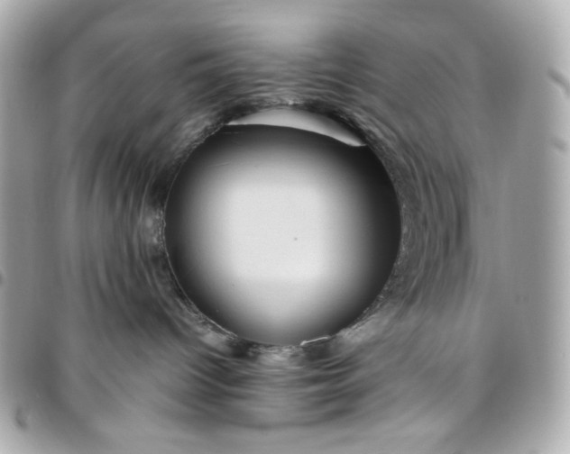 X0000096480096200802071930