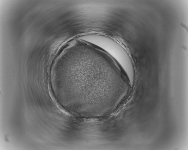 X0000096480097200802071929