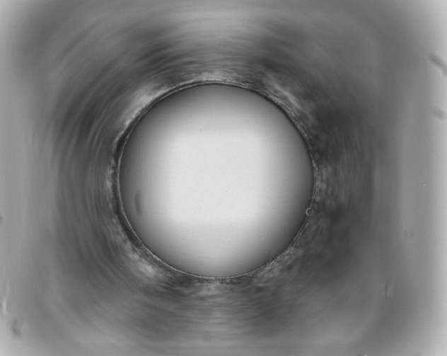 X0000096480098200802071929