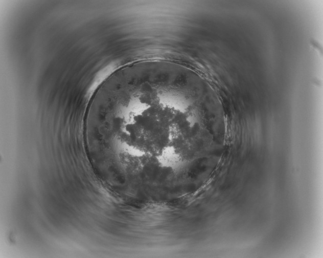 X0000096480099200802071929