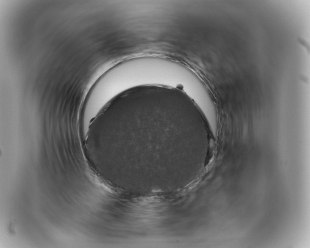 X0000096480100200802071929