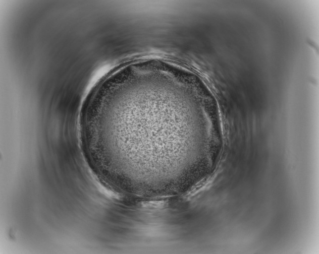 X0000096480102200802071929